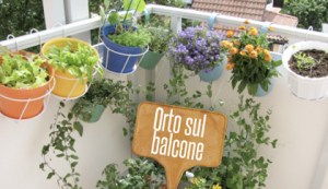 orto-sul-balcone